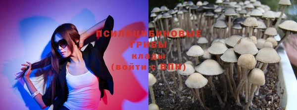 ешки Липки