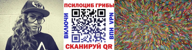 Псилоцибиновые грибы GOLDEN TEACHER  Купить закладки  Гусь-Хрустальный 